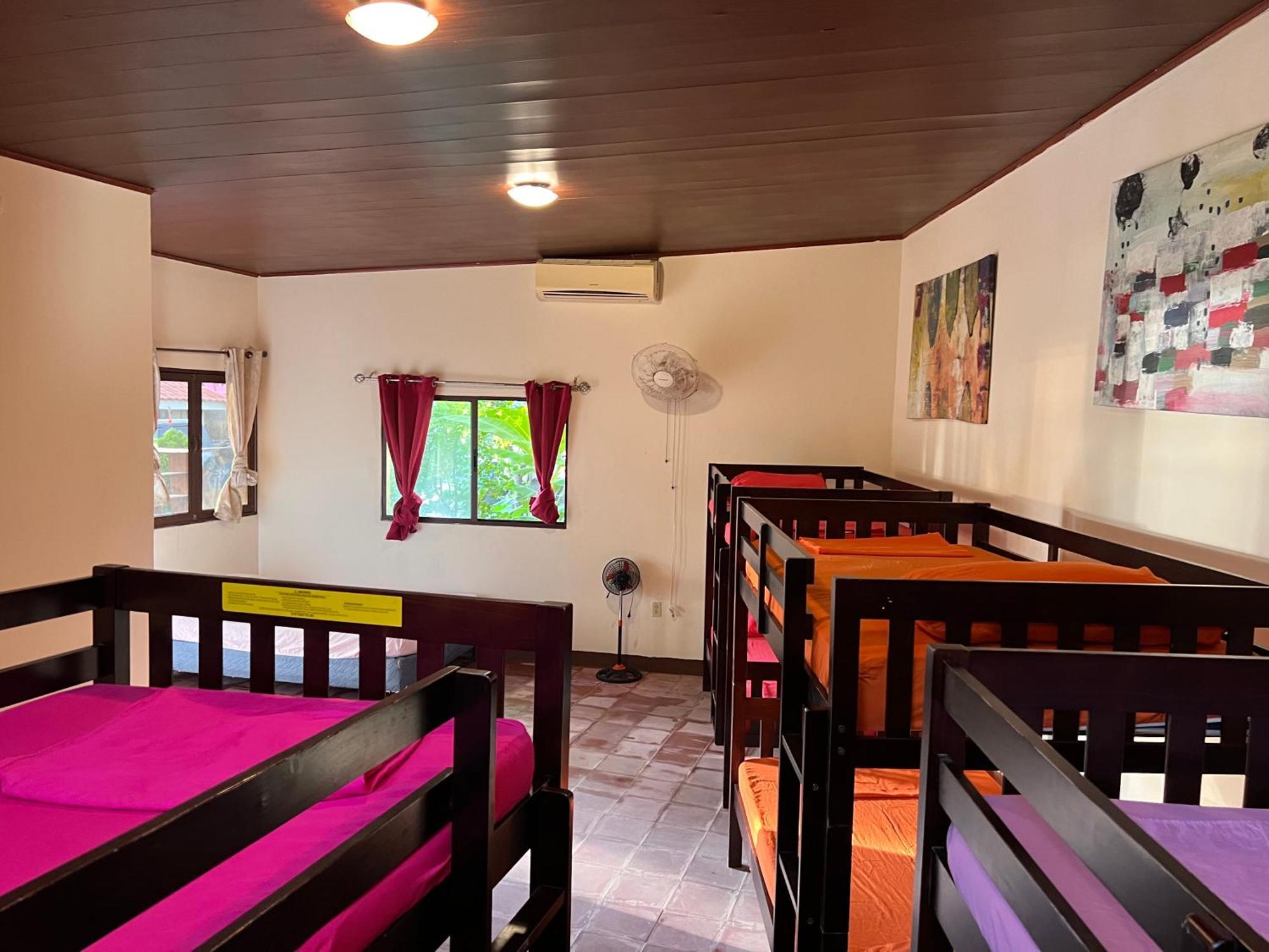 Solid Surf Camp Hostel Nicaragua Transito المظهر الخارجي الصورة